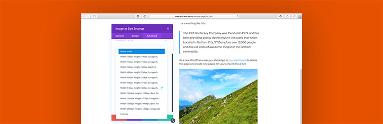 Image Size Selection For Divi Preview Wordpress Plugin - Rating, Reviews, Demo & Download