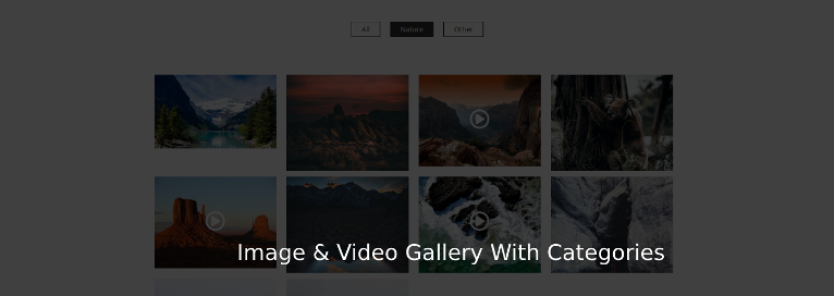 Image & Video Gallery With Categories Preview Wordpress Plugin - Rating, Reviews, Demo & Download