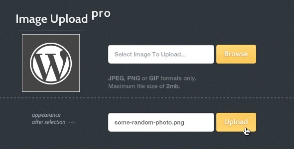 Img Upload – Image Hosting Plugin for Wordpress Preview - Rating, Reviews, Demo & Download