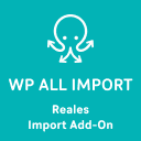 Import Properties Into The Reales WP Theme