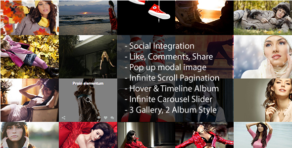 Infinite Scroll WordPress Social Photo Gallery Plugin Preview - Rating, Reviews, Demo & Download