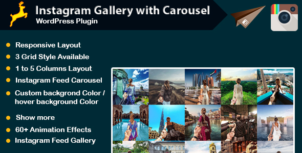 Instagram Gallery With Carousel Plugin for Wordpress Preview - Rating, Reviews, Demo & Download