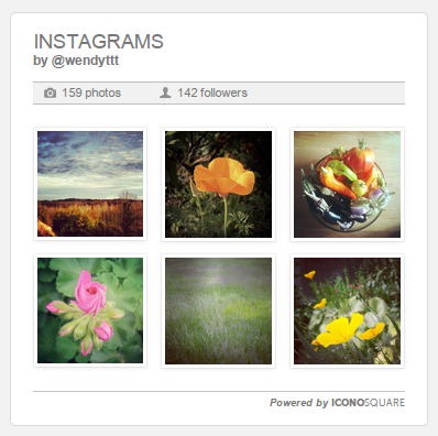 Instagram Image Gallery Preview Wordpress Plugin - Rating, Reviews, Demo & Download