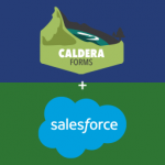 Integration Of Caldera Forms And Salesforce