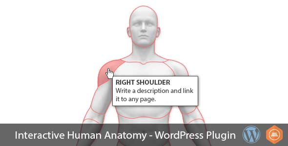 Interactive Human Anatomy – WordPress Plugin Preview - Rating, Reviews, Demo & Download
