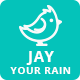 Jay – Falling Snow, Leaves, Halloween Pumpkin Etc