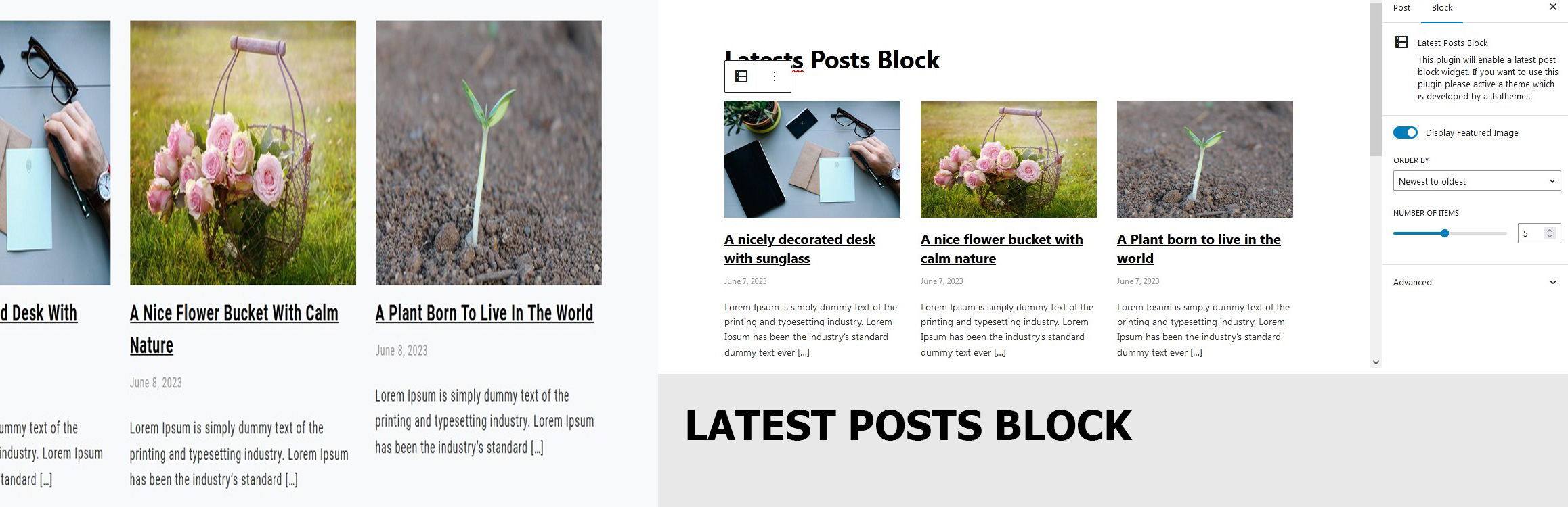 Latest Posts Block Preview Wordpress Plugin - Rating, Reviews, Demo & Download