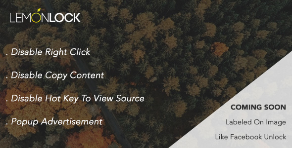 Lemon Lock Content – Advertisement Wordpress  Preview - Rating, Reviews, Demo & Download