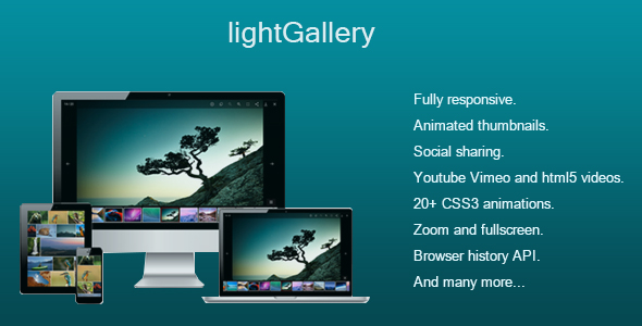 LightGallery-WP Preview Wordpress Plugin - Rating, Reviews, Demo & Download