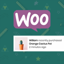 Live Sales Notification For Woocommerce – Woomotiv