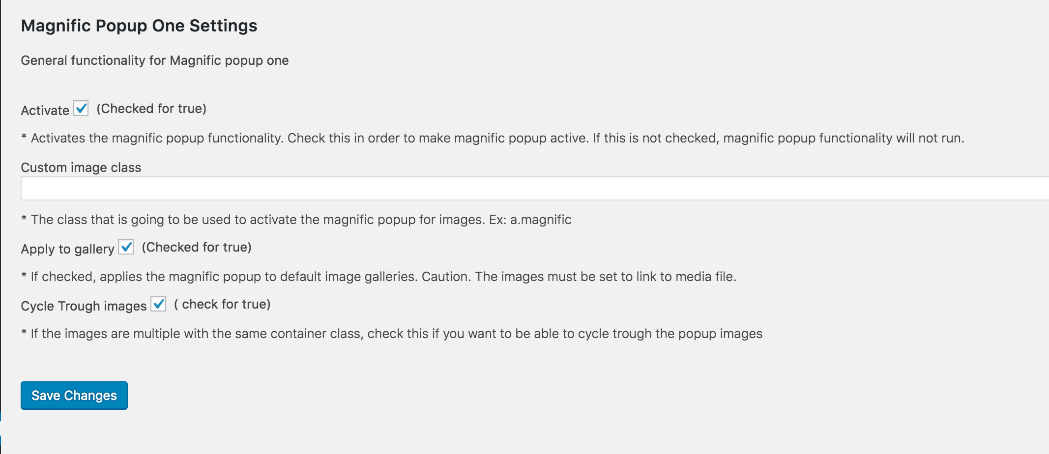 Magnific Popup One Preview Wordpress Plugin - Rating, Reviews, Demo & Download