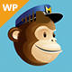 MailChimp | Subscription Widget And WPBakery Page Builder Addon