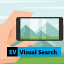 Make Money With Visual Search