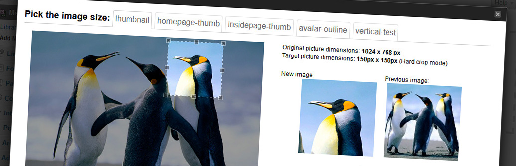 Manual Image Crop Preview Wordpress Plugin - Rating, Reviews, Demo & Download