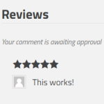 Manually Approved Reviews For WooCommerce