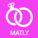 Matly | WordPress Matrimonial User Management System
