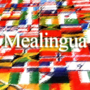 Mealingua Posts And Pages Translations