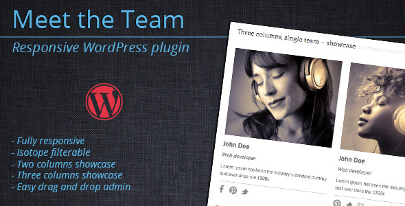 Meet The Team – WordPress Plugin Preview - Rating, Reviews, Demo & Download