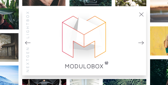 ModuloBox – NextGen Lightbox Plugin For WordPress Preview - Rating, Reviews, Demo & Download