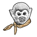 Monkey In Silk