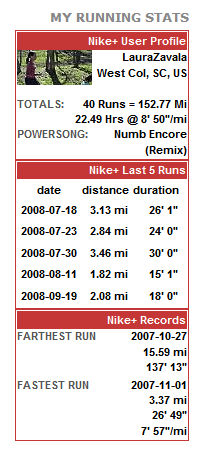 Nike+iPod Stats Preview Wordpress Plugin - Rating, Reviews, Demo & Download