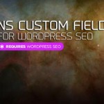 NS Custom Fields For WordPress SEO