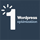 One Click Optimization – WordPress Speed & Performance