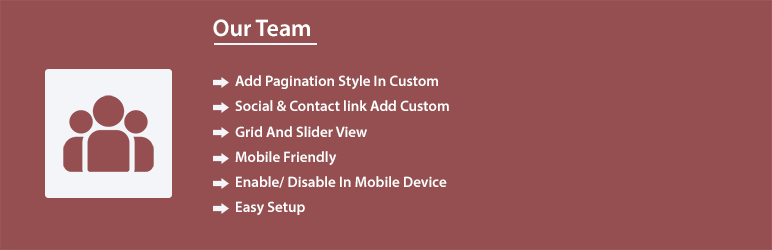 Our Team (Group) Preview Wordpress Plugin - Rating, Reviews, Demo & Download