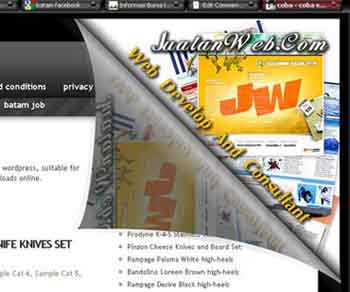 Page Peel BujanQWorkS Preview Wordpress Plugin - Rating, Reviews, Demo & Download