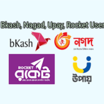 Payment Gateway Bkash Nagad Rocket