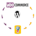 Payment Gateway For MTN MoMo On WooCommerce