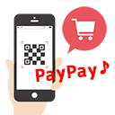 Payment Gateway PayPay For WooCommerce