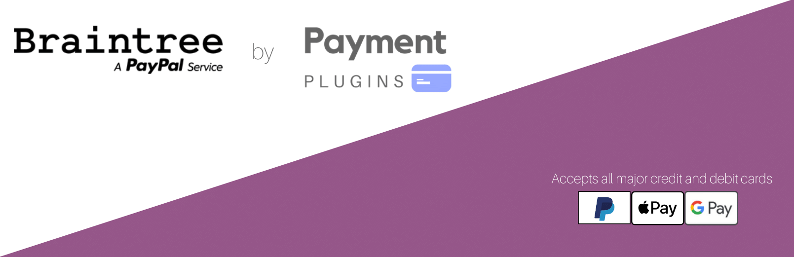 Payment Plugins Braintree For WooCommerce Preview - Rating, Reviews, Demo & Download