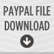 PayPal File Download WordPress Plugin