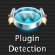 Plugin Detection For WordPress Themes