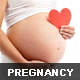 Pregnancy Calculator For WordPress + Add-ons