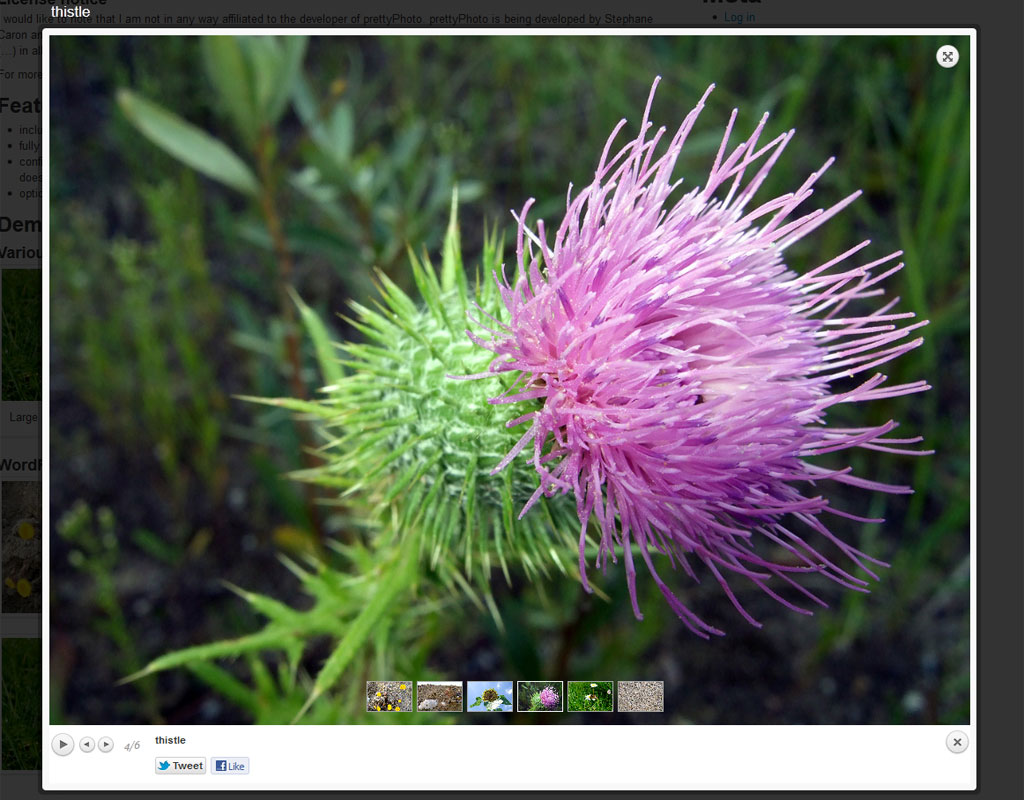 PrettyPhoto Media Preview Wordpress Plugin - Rating, Reviews, Demo & Download