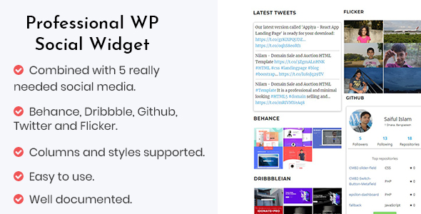 Professional WP Social Widget Plugin Preview - Rating, Reviews, Demo & Download
