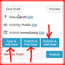 Publish And Redirect To Add New Post