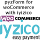 PyzForm For WoCommerce With Iyizico