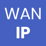 Real WAN Server IP