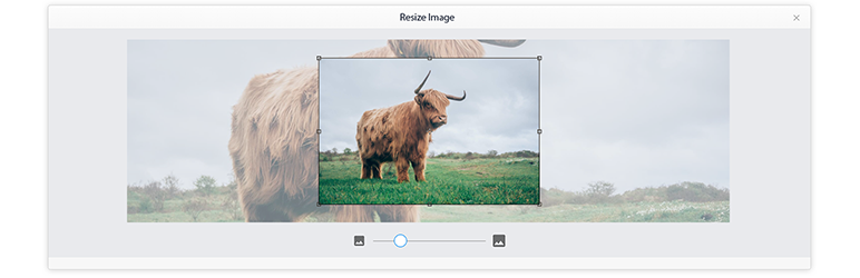 Resize Images In Posts Preview Wordpress Plugin - Rating, Reviews, Demo & Download