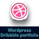 Responsive Dribbble Portfolio Wordpress Plugin