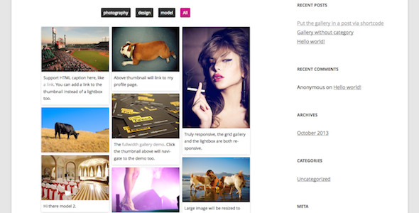Responsive Pinterest Grid Gallery WordPress Plugin Preview - Rating, Reviews, Demo & Download