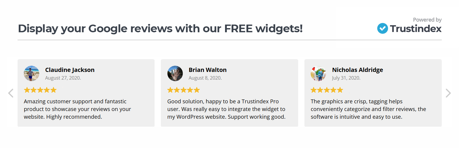 Review Widget Addon For Divi Preview Wordpress Plugin - Rating, Reviews, Demo & Download