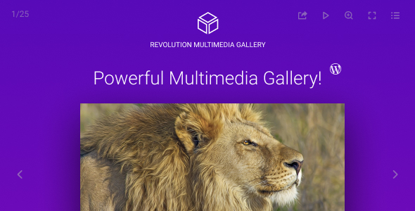 Revolution Multimedia Gallery Wordpress & WooCommerce Plugin Preview - Rating, Reviews, Demo & Download