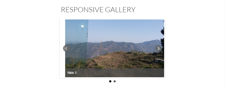 RG Responsive Gallery Preview Wordpress Plugin - Rating, Reviews, Demo & Download