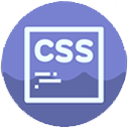 Royal Custom CSS For Page And Post