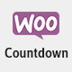 Schedule, Reset Countdown Plugin WooCommerce | WooCP