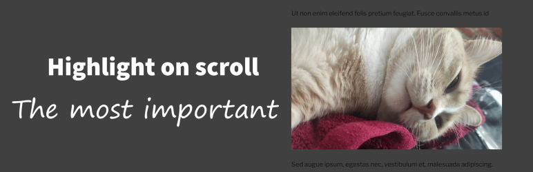 Scroll Highlight – Catch An Eye Of Your Users While They Scroll Preview Wordpress Plugin - Rating, Reviews, Demo & Download